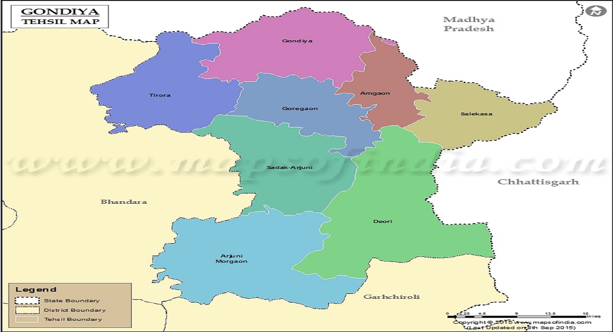 gondia tehsil map