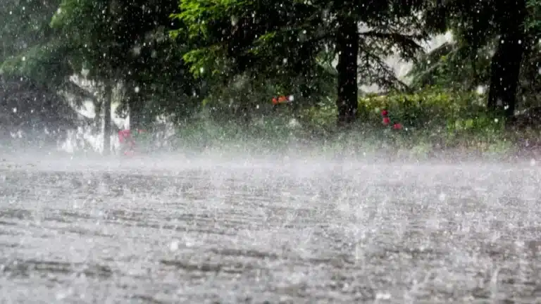 Unseasonal rain : पुढील पाच दिवस पावसाचे