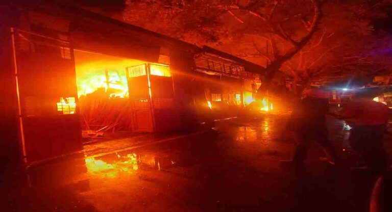 Pune  Fire : टिंबर मार्केटमधील लाकडाच्या गोदामाला लागली भीषण आग; अग्निशमन दलाच्या 30 गाड्या घटनास्थळी दाखल
