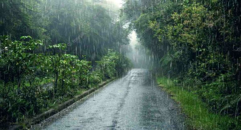 Monsoon :  मोसमी पाऊस येत्या दोन दिवसांत अरबी समुद्रात दाखल होणार; मुंबईत मात्र विलंब होण्याचा अंदाज