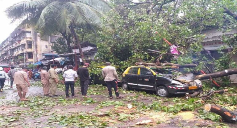 Tree Fell : दिवसभरात झाड पडून मुंबईत दोन तरुणांचा मृत्यू