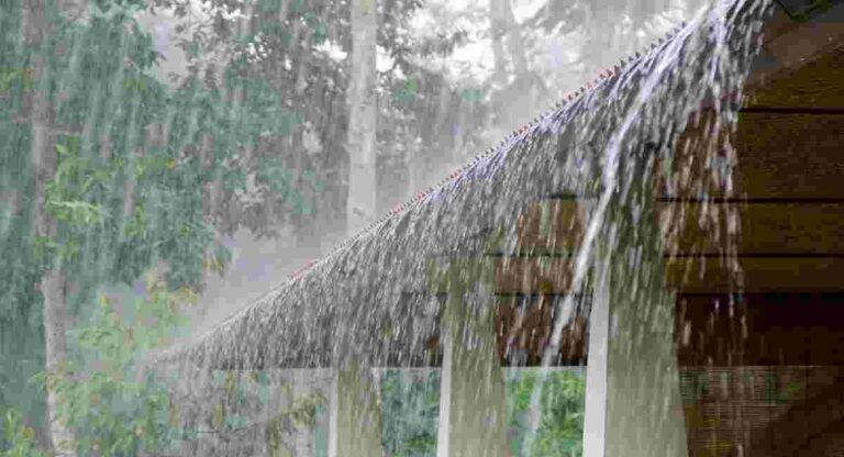 Heavy Rain : मुंबईसह उपनगरांत पावसाची दमदार हजेरी; जुलै २१ पर्यंत मुसळधार पावसाचा इशारा