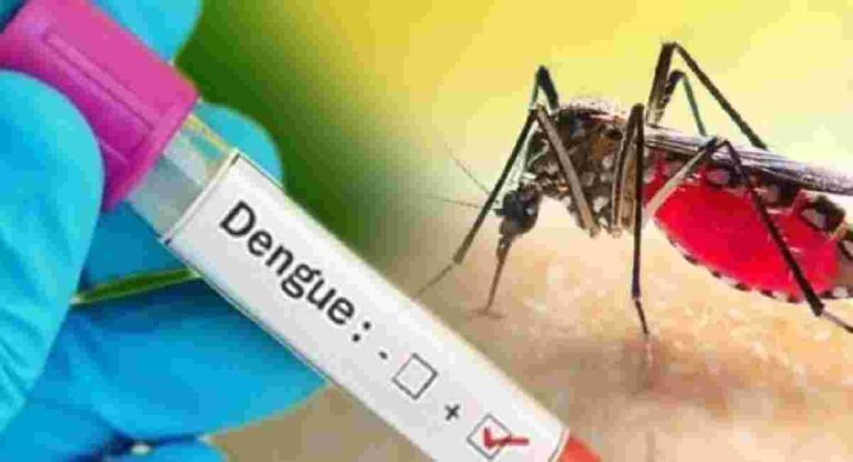 Epidemic  : मुंबईत वाढते गॅस्ट्रो, मलेरिया आणि डेंग्यूची साथ साथीचे आजार