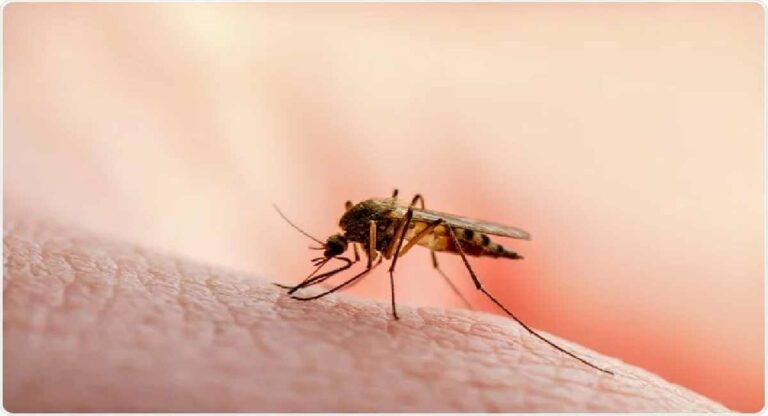 मुंबईतील ‘हा’ परिसर बनला आहे मलेरियाचा हॉटस्पॉट