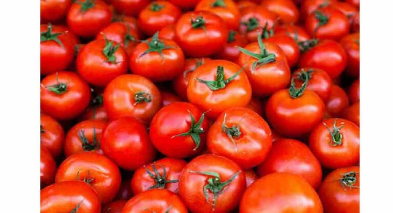 Tomato Import : टोमॅटोच्या किमती आटोक्यात आणण्यासाठी नेपाळमधून आयातीचा निर्णय