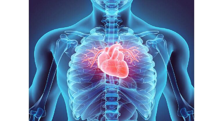 Heart Valve Replacement Surgery : पालिकेच्या ‘या’ रुग्णालयात टाके विरहित वॉल रिप्लेसमेंट शस्त्रक्रिया माफक दरात