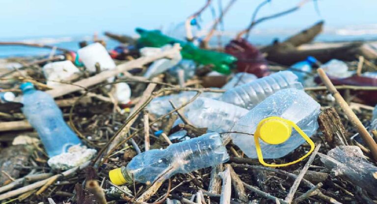 भारत जगभरातील ५२ टक्के प्लास्टिकचा कचरा निर्माण करणाऱ्या १२ देशांच्या यादीत