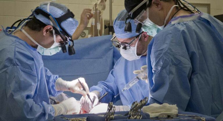 केईएम पाठोपाठ आता शेजारच्या ‘या’ रुग्णालयातही हृदय प्रत्यारोपण शस्त्रक्रिया सुरु होणार
