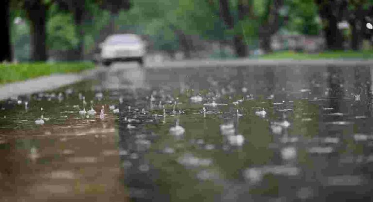 Rain : मुंबईसह कोकणात पावसाच्या हलक्या सरी; राज्याच्या ‘या’ भागाला यलो अलर्ट