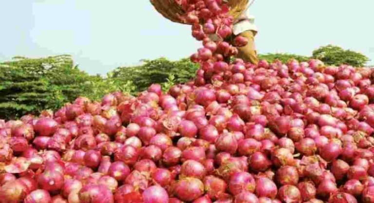 Onion Price Hike : टोमॅटोनंतर आता कांदाही महागणार; एका किलोमागे ‘इतके’ रुपये वाढणार