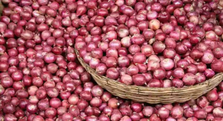 Onion Price : कांद्याच्या वाढत्या दरावर केंद्र सरकारचा उपाय, निर्यातीवर लागणार ४० टक्के शुल्क