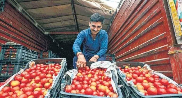 Tomato : नेपाळही भारताला टोमॅटो निर्यात करण्यासाठी तयार, घातली ‘ही’ अट