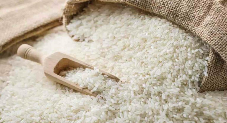 Rice Exports : निर्याती बंदी असूनही ‘या’ देशांना पाठवणार तांदूळ