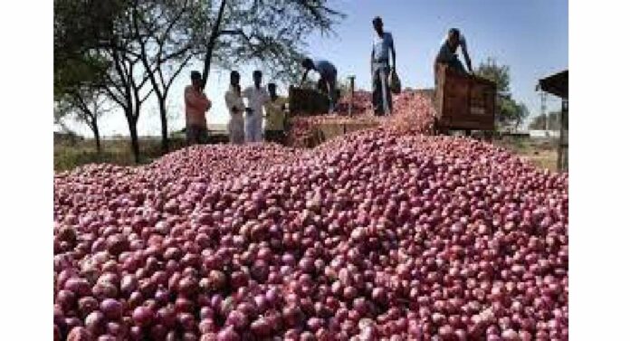 Onion Farmers Subsidy : ३ लाख कांदा उत्पादक शेतकऱ्यांना ३०० कोटींचे अनुदान मिळणार