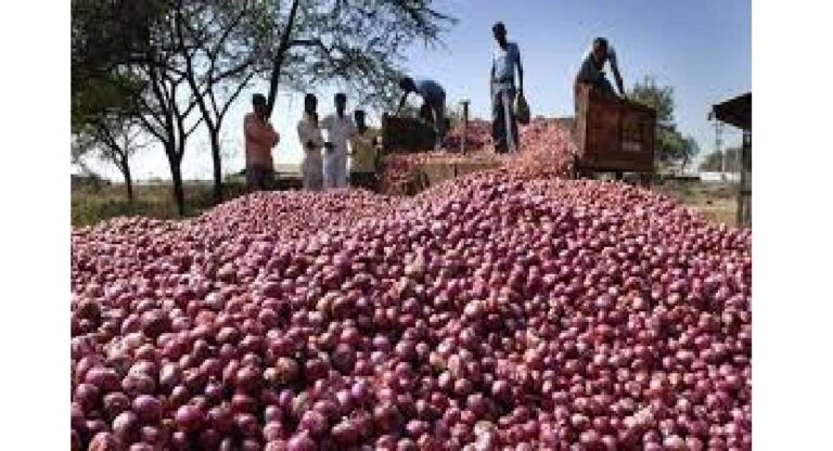 Onion Farmers Subsidy : ३ लाख कांदा उत्पादक शेतकऱ्यांना ३०० कोटींचे अनुदान मिळणार