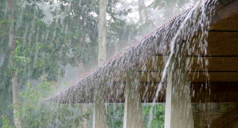 Monsoon Update : राज्यात पाऊस पुन्हा सक्रिय; IMD कडून २४ जिल्ह्यांना पावसाचा अलर्ट