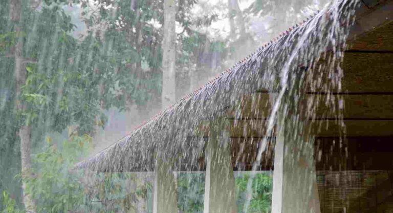 Monsoon Update : पुढील दोन – तीन दिवसांत कोकणसह विदर्भात मुसळधार पावसाची शक्यता