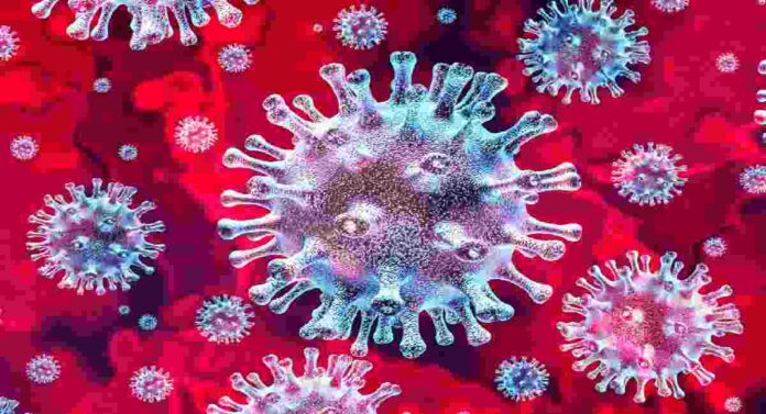 Pandemic Disease X: कोरोनानंतर आता 'डिसीज एक्स' आजाराबाबत काळजी घ्या, शास्त्रज्ञांनी केले आवाहन