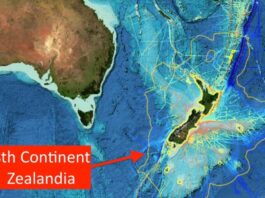8th Zeelandia Continent : जगातील आठव्या खंडाचा शोध लागला, जाणून घ्या सविस्तर...