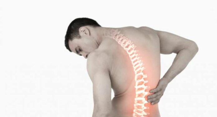 Back Pain : पाठदुखीने हैराण झालात? 'ही' योगासने नियमित करा
