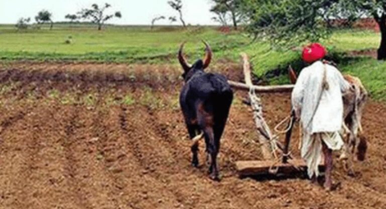 Farmer Scheme: गणेशोत्सवापूर्वी शेतकऱ्यांच्या खात्यात जमा होणार प्रत्येकी 2000 रुपये, ‘नमो शेतकरी महासन्मान योजने’तील तांत्रिक अडचणी दूर