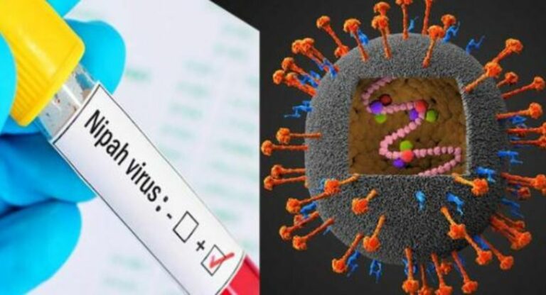 Nipah Virus : निपाह विषाणूमुळे दोघांचा मृत्यू, जागतिक आरोग्य संघटनेकडून काळजी घेण्याचे आवाहन