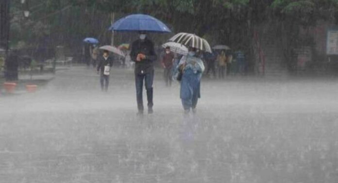 Vidarbha Rains : विदर्भात पावसाचा 'यलो अलर्ट', हवामान विभागाच अंदाज