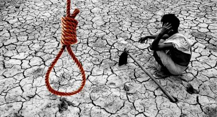 Farmer suicide : शेतकरी आत्महत्यांचे प्रमाण वाढले, मराठवड्यात एकाच दिवशी 3 आत्महत्या