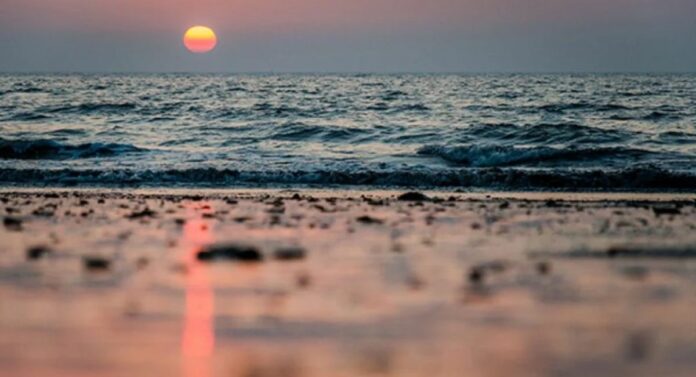 Juhu Beach : जुहू समुद्रकिनाऱ्यावर सापडले डांबराचे गोळे, समुद्र प्रदूषण थांबवण्याबाबत लवकरच उपाययोजना