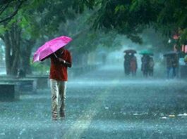 Monsoon Update : दोन दिवस सलग कोकणात मुसळधार पावसाचा अंदाज
