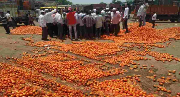 Tomato Rate : टोमॅटोचा पुन्हा चिखल; शेतकऱ्यांचा तीव्र संताप