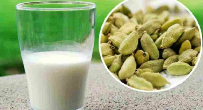 Cardamom Milk : वेलचीच्या दुधाचा समावेश मुलांच्या आहारात केल्याने होतील 'हे' फायदे