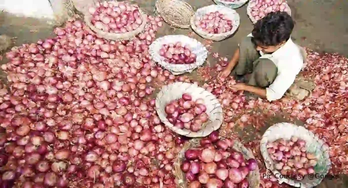 Onion Prices : कांद्याच्या किमती आटोक्यात आणण्यासाठी सरकारी गोदामांत अतिरिक्त कांदा साठवण्याचा सरकारचा निर्णय