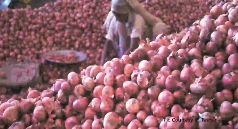 Onion Price : कांदा 5 हजार रुपये क्विंटल होताच निर्यात मूल्य 800 डॉलर