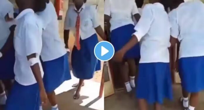 Paralysis 0f Schoolgirls : धक्कादायक ! 90 शाळकरी मुलींना एकाच वेळी लुळ्या झाल्या; सोशल मिडियावर व्हिडियो व्हायरल