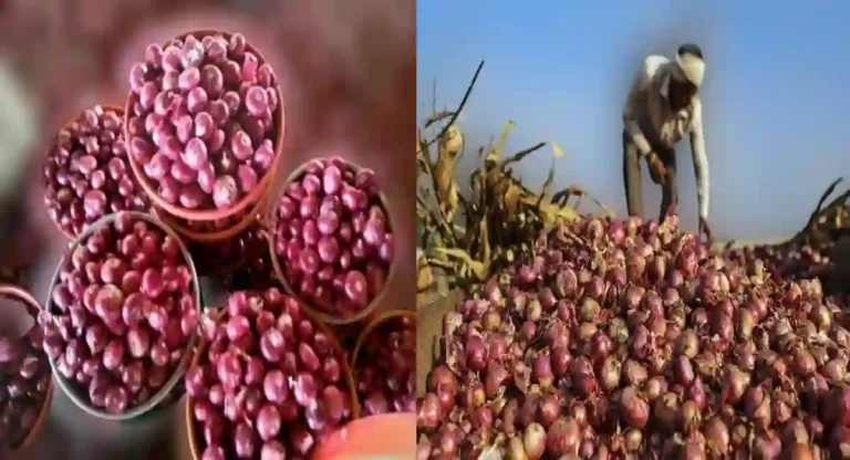 Onion Prices : ऐन सणासुदीच्या तोंडावर कांद्याच्या दरात घसरण; शेतकरी वर्गाची चिंता वाढली