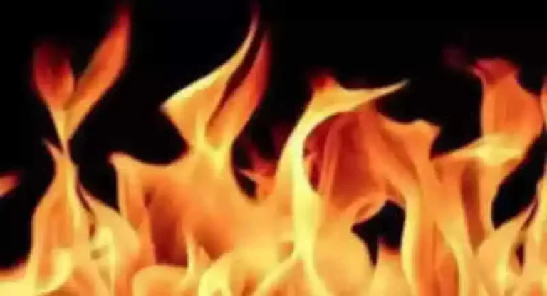 Mumbai Fire : भायखळ्याच्या म्हाडा इमारतीला भीषण आग; सुदैवाने जीवितहानी नाही