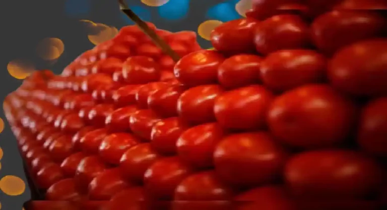 Tomato Prices : टोमॅटोच्या दरात पुन्हा वाढ; किरकोळ बाजारात ६० रुपये प्रतिकिलो