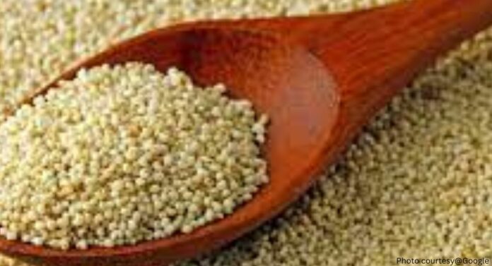 Chia Seeds In Marathi: आहारात 'या' १० बियाणांचा समावेश करा, होतील आश्चर्यकारक फायदे