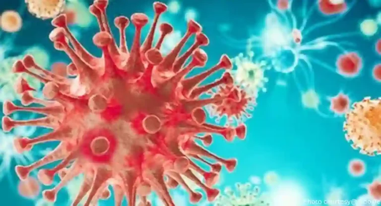 JN.1 Variant: कोरोनाचा नवीन JN.1 व्हायरस ४१ देशांमध्ये पसरला, जागतिक आरोग्य संघटनेने दिला सल्ला; वाचा सविस्तर