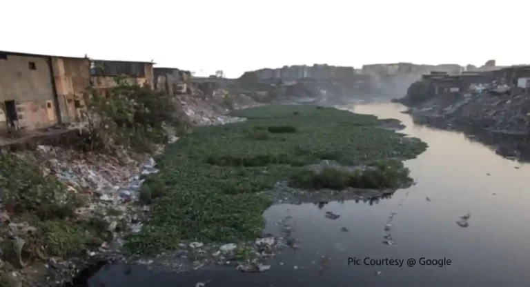 River Pollution : महाराष्ट्रातील सर्वाधिक नद्या आहेत प्रदूषित; मिठीसह कोणत्या नद्या बनल्यात धोकादायक?