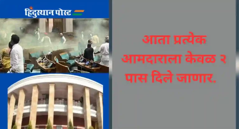 Maharashtra Assembly Session : संसदेतील घटनेचे महाराष्ट्र विधीमंडळात पडसाद; अभ्यागतांना प्रवेश बंद
