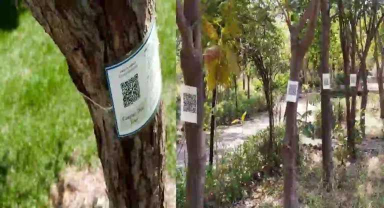 TMC :  झाडांची माहिती मिळवण्यासाठी उद्यानात लावले क्यू आर कोड ; ठाणे महापालिकेचा उपक्रम