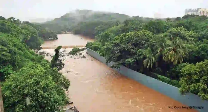 Borivali Reservoir : बोरीवली जलाशयाचेही होणार स्ट्रक्चरल ऑडीट; 'या' भागाच्या लोकांना बसणार पाण्याची झळ
