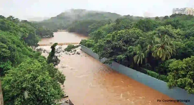 Borivali Reservoir : बोरीवली जलाशयाचेही होणार स्ट्रक्चरल ऑडीट; ‘या’ भागाच्या लोकांना बसणार पाण्याची झळ
