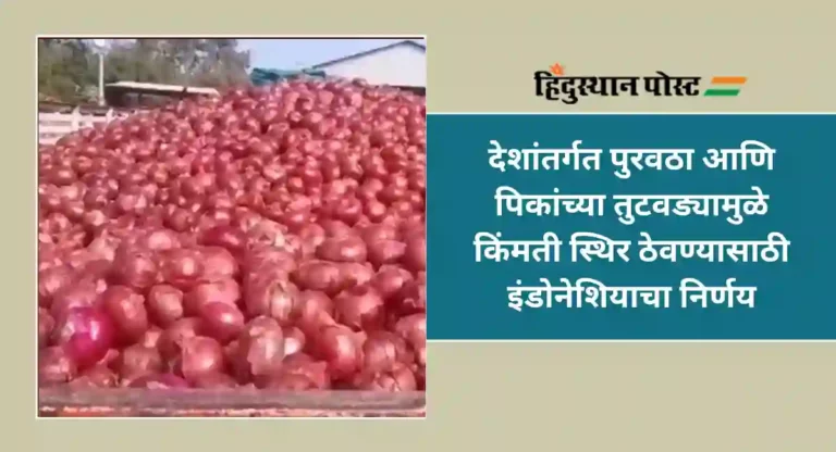 Onion Export : इंडोनेशियाने भारताकडे केली ९ लाख मेट्रिक टन कांद्याची मागणी