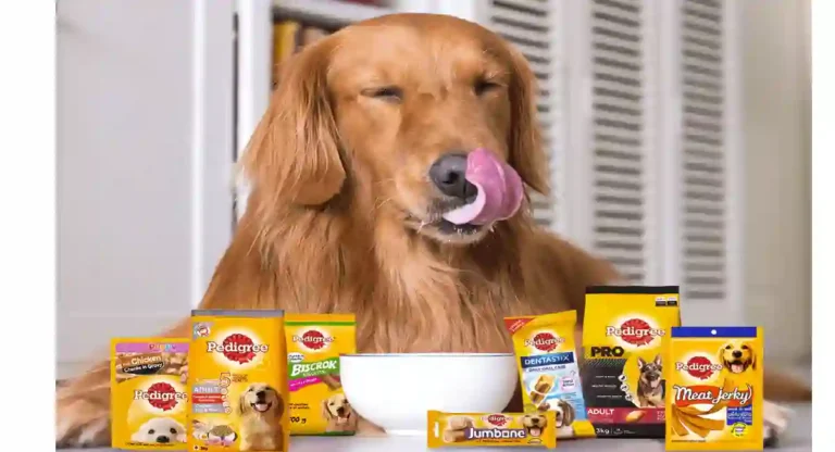 Pedigree Dog Food : कुत्र्यांच्या खाद्य पदार्थांमधील घटक आणि महत्व