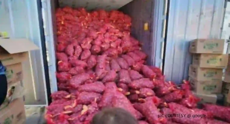 Onion : कांदा निर्यातीवर बंदी म्हणून टोमॅटोच्या कंटेनरमधून कांद्याची निर्यात; सीमा शुल्क विभागाची कारवाई