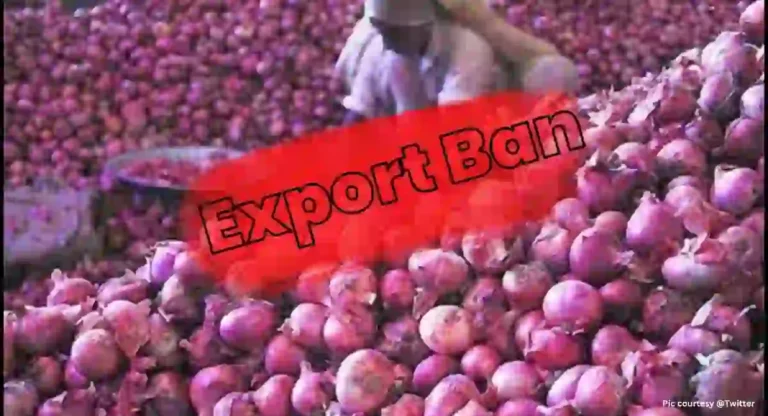 Onion Export Ban : कांदा निर्यात बंदीचे ४ महिने, शेतकरी चिडलेले