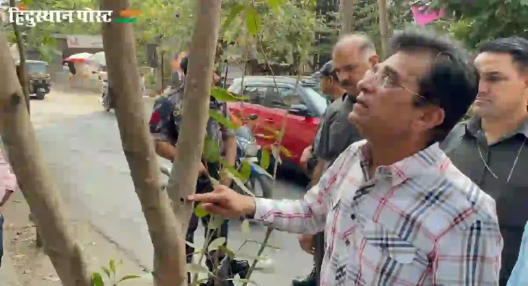 BMC : मुंबईतील जाहिरात कंपन्यांकडून झाडांची कत्तल? ‘हिंदुस्थान पोस्ट’च्या वृत्ताची दखल; सोमय्यांची मनपाला पत्र लिहून चौकशीची मागणी